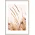 Картина в рамке Styler Grasses AB078 50X70 см