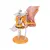 Lift Tiler 8119-9L