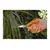 Scissors  FISKARS 111040