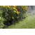 Hose for micro irrigation Gardena 1999-20 15 m