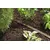 Hose for micro irrigation Gardena 1999-20 15 m