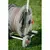 Тележка со шлангом BRADAS SILVER PRO SET WL-AG33350SET1