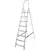 Stepladder NV 1110108 169 cm