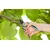 Pruner Gardena B/L 8906-20 25 mm
