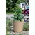ქოთანი ყვავილის Form-Plastic Lina 35 soft jute