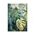სურათი STYLER HP014 MONSTERA 70X100 სმ