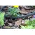 Soaker hose Bradas AQUA-DROP 1/2"-30 m WAD1/2030