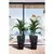 ქოთანი ყვავავილის FORM PLASTIC Diva Slim square 30 მუქიშავი 4670-084