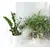 Static window film Delfa S4503 45x150 cm