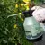 Опрыскиватель ручной Bradas 2 л  AQUA SPRAY 360° AS0200CL