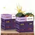 Plastic box with wooden ornament Irak Plastik Stroge Box SP-380 3.1 l