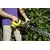 ბუჩქის საკრეჭი აკუმულატორის Karcher HGE 36-60 36V