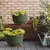 Flower pot Lamela Bowl ROMA ECO wood 400 jumper 21l green