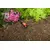 Oozing hose Gardena 13013-20 1/2" 50 m