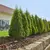 Oozing hose Gardena 13013-20 1/2" 50 m