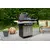 Gas BBQ Grill Landmann Rexon PTS 4.1 12274