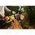 Battery-powered saw Ryobi RY36CSX35A-150 36V