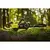 Battery-powered saw Ryobi RY36CSX35A-150 36V