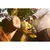 Battery-powered saw Ryobi RY36CSX35A-150 36V