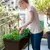 Flower pot Keter Urban Bloomer Brown 82х37х78 cm