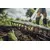 Rake Fiskars Xact 1027039 373 mm