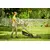 Battery gasoline lawn mower Ryobi ONE+ RY18LMX40A-0 18V
