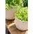 Flower pot Capi Europe Planter ball Groove sawdust 21,5x20cm