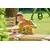 Vibrating sanding machine rechargeable Ryobi R18SS4-0 18V