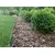Curb Standartpark Country Standard H100 82952-6-GN 6 m green
