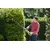 Hedgecutter Ryobi RHT8165RL 800W