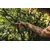 Pruner Fiskars Solid P321