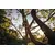 Secateurs Fiskars PowerGear L P961 26 mm