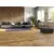 ლამინატი წყალმდგრადი Classen Harmony Forte Corona Aqua Protect 55959 მუხა Avan 1285x280x8 მმ AC5/33