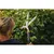 Brush cutter Fiskars HS21