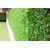 Decorative fence, grass Brofence 2x10 m