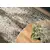 Ковер Dywilan OMEGA PERONA IRON 2504 cC1 170x235 100% WOOL
