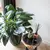 Flower pot Capi Europe Vase Groove NL 46x58cm anthracite