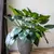 Flower pot Capi Europe Vase Groove NL 46x58cm anthracite