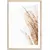 Picture in frame Styler Beige II FP070 50X70 cm