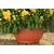 Plastic flower pot FORM PLASTIC Misa VERONA 0413-010 Ø38 terracotta