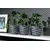 Горшок пластиковы для цветов FORM PLASTIC Sahara Duo 4400-014+040W Ø14 антрацит + серая вставка