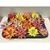 ეხევერია Echeveria gibbiflora mix