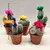 Cleistocactus 10 cm