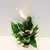 ანტურიუმი Anthurium Lilli 30 სმ
