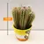 კაქტუსი Cactus mix i 'Decorpot' Mammilaria