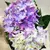 Гортензия Hydrangea mixed 25 см