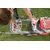 Gasoline lawn mower self-propelled AL-KO Comfort 51.0 SP-A 2100W