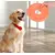Toy frisbee Pic Chow 30 cm