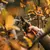 Pruner with mechanism Fiskars 1023628 PX94