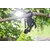 Pruner rechargeable Ryobi ONE+ OLP1832BX 32 mm 18V